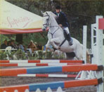 Paloma jumping